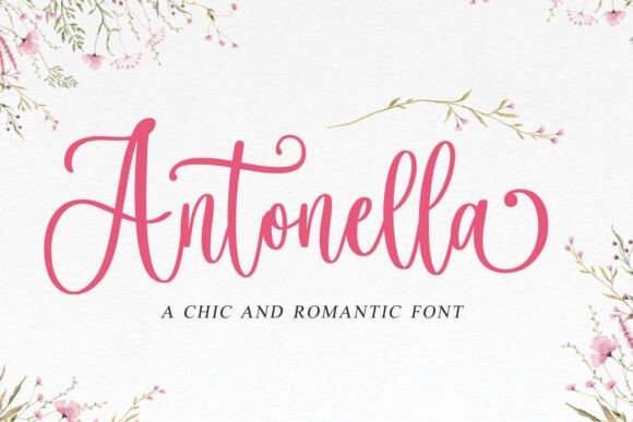 Antonella: A Script Font for Elegant Design