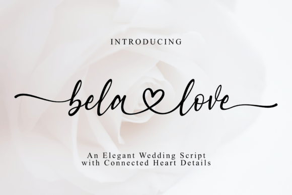 Bela Love: The Romantic Script Font for Modern Design